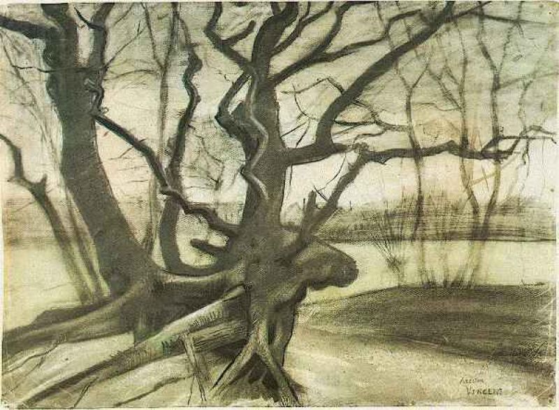 1882 etude d'un arbre.jpg